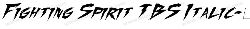 Fighting Spirit TBS Italic字体转换